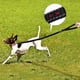thumbnail image 4 of Correa para perros de alta resistencia para perros grandes de hasta 40 kg. Correa elástica reflectante para entrenamiento de perros que absorbe los golpes con hebilla para cinturón de seguridad del automóvil. 2 asas de tráfico acolchadas para un control adicional. Ormromra 2034533-2, 4 of 8