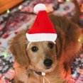 thumbnail image 3 of WEUVEB Ensemble Chapeau et Foulard Rouges pour Animaux de Compagnie, Matériau en Polaire Douce, Vêtements Décoratifs pour Chien Chat Cosplay, 3 of 8