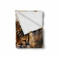 thumbnail image 2 of Tiger Soft Flannel Fleece Blanket, Wild Beast Looking Straight into the Eyes of the Viewer Angry Looking Panthera Tigris, Cozy Plush for Indoor and Outdoor Use, 50" x 60", Multicolor, by Ambesonne, 2 of 6