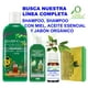 thumbnail image 4 of Shampoo Árbol de Té con Miel 500 ml 3H. Anticaspa, Anticéptico, Detox, 4 of 4