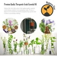 thumbnail image 4 of Natures-Star - Tea Tree Essential Oil (Bulk 16oz) Therapeutic Grade for Aromatherapy, Diffuser, Soap Making, Candles, 4 of 7