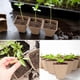 thumbnail image 4 of Square Peat Pots for Seedlings,Seed Starting Pots with Drainage Holes, 4 of 5