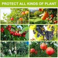 thumbnail image 5 of Paquete de 50 bolsas de protección para uvas, bolsa de protección para frutas y plantas de jardín con cordón, para proteger contra avispas, pájaros, moscas de cereza y otros insectos (30 * 20 cm) Rojo Verde, 5 of 5