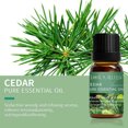 thumbnail image 3 of Aceites esenciales para difusores Lavanda Eucalipto Árbol de té Menta Romero Menta Bergamota Limón Rosa Aceite esencial puro 10 ml, 3 of 5