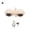 White, variant on Ball Eyeball Connecting Rod Eyelid Kit for DBS Doll, Multi-Color Options to Enhance Eye Expression