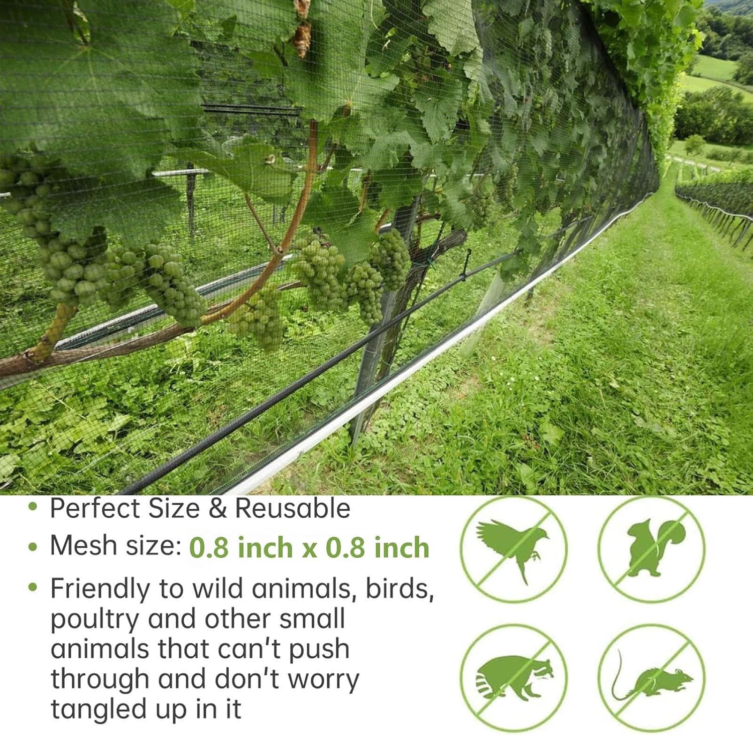 Bird Netting for Garden, 13x32FT 0.8" Mesh Netting for Garden Protection, Fruit Tree Netting Bird Netting for Fruit Trees, Deer Netting Deer Fence for Garden, Black w/50 Cable Ties