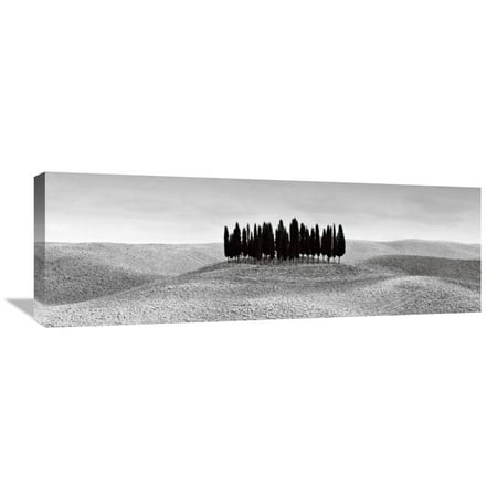 - Global Gallery Ilona Wellmann,'Cypresses in Tuscany' Stretched Canvas Artwork