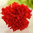 thumbnail image 3 of SPRING PARK 8Pcs Artificial Carnation Bouquet Realistic Fake Gift Flowers for Home Mother's Day, 3 of 7