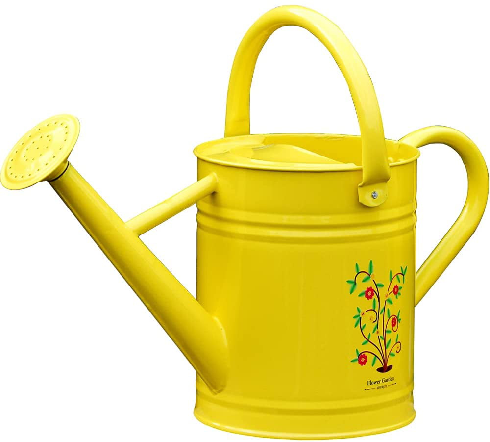 66 oz 2L Small Plastic Watering Can For House Indoor Room Plants Choice Color 
