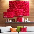thumbnail image 3 of Pink Aster Flower Petals Close up - Large Floral Canvas Artwork, 3 of 4