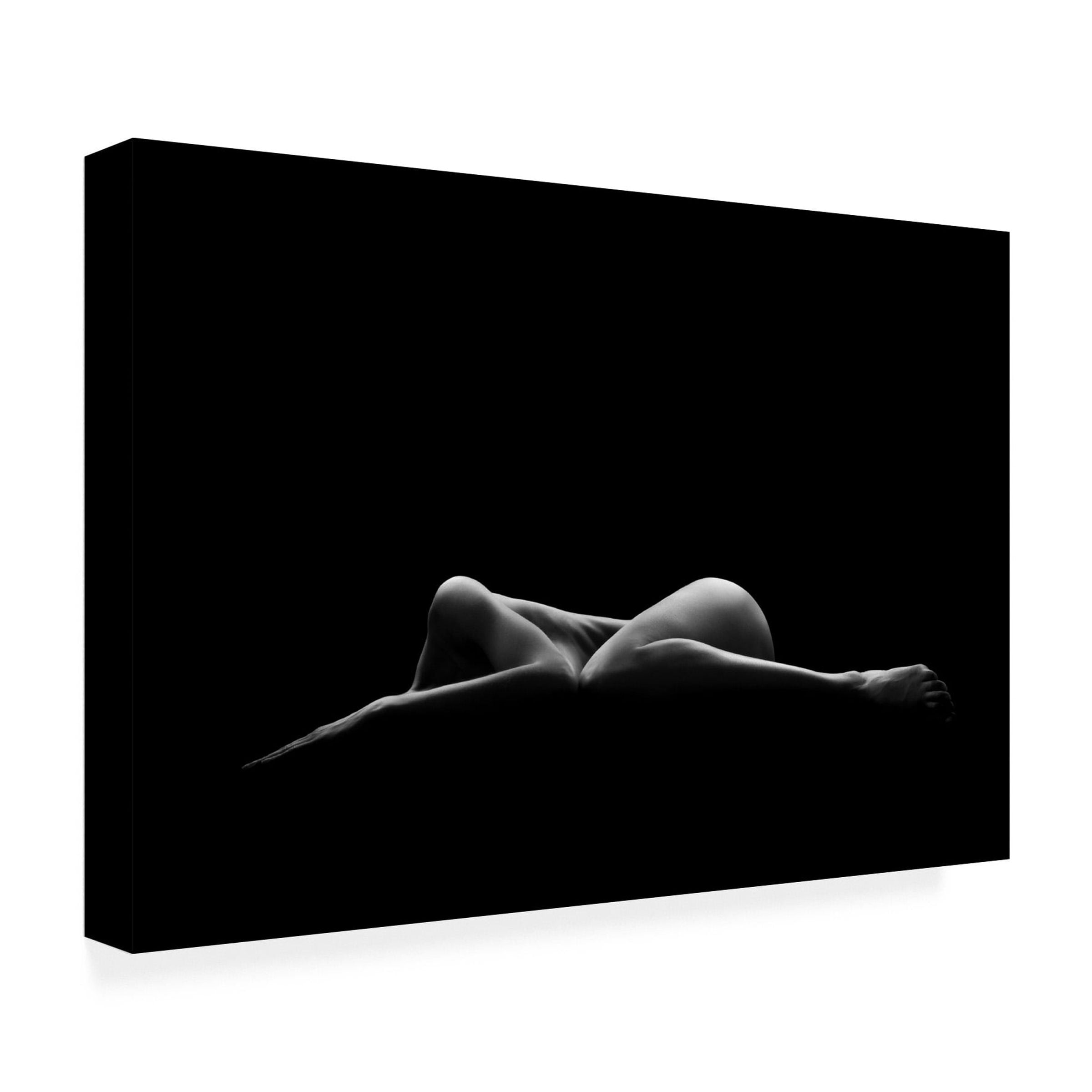 Leon Schroder 'Bodyscape' Canvas Art