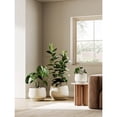 thumbnail image 7 of Ceramic Planter 10 Inch Plant Pot with Drainage Hole Saucer Durable Indoor Planter for Modern Home Decor Reactive Glaze Beige, 7 of 7