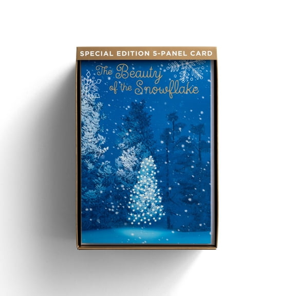 DaySpring - The Beauty of The Snowflake - Premium 5-Pannel Christmas Cards - 18 Christmas Boxed Cards & Envelopes, NIV