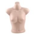 thumbnail image 1 of AMLESO Female Mannequin Torso Bra Display Mannequin for Cloakroom Swimwear Showcase Skin Color, 1 of 8