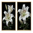 thumbnail image 2 of Designart "Lily Exquisite Black White wall decor II" Lilies Framed Wall Art Set Of 2 - Black Floral Gallery Wall Frame Set For Home Decor, 2 of 7