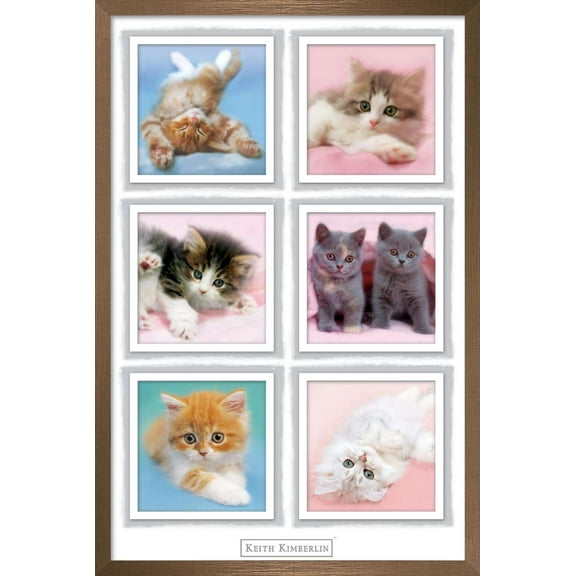 Keith Kimberlin - Kittens Wall Poster, 14.725" x 22.375", Framed