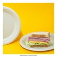 thumbnail image 4 of Platos pasteleros desechables We Care biodegradables 18 pzas, 4 of 4