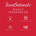 thumbnail image 4 of Wax Melts Scentsationals, aroma a manzana y canela, 300 ml (24 cubos), 4 of 7