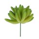 thumbnail image 4 of Adorno Hogar Artificial Perfecl plantas suculentas Plástico, 4 of 8