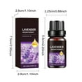 thumbnail image 2 of Lavender Essential Oil for Relaxation, Calming Aromatherapy Blend for Sleep, Soothing Natural Extract for Skin Massage, 10ml Dropper Bottle for Diffuser, 2 of 7