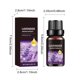 thumbnail image 4 of Xihbxyly Aceite de Aromaterapia Natural, Esencia de Lavanda para Aliviar El Estrés, Ingredientes Puros para Humidificador, Tamaño Compacto para Viajes, Regalo Perfecto para Cualquier Ocasión, Mejora, 4 of 7