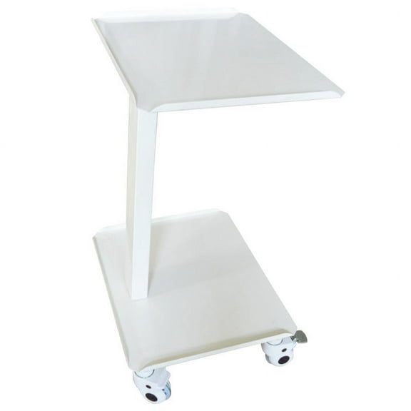 INTSUPERMAI Mobile Steel Cart 2 Layers Dental Beauty Equipment Cart Portable Assemable