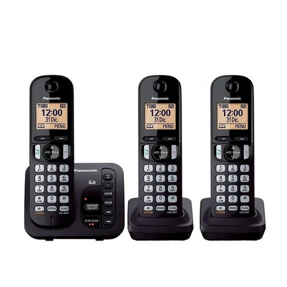 Teléfono inalámbrico 3 auriculares Panasonic Panasonic KX-TGC253CB Negro Reacondicionado