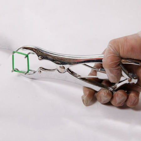 elastrator castration livestock docking