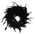 thumbnail image 1 of Plumas Artificiales Negras Con Colgador De Puerta De Corona Decorativa De Ojo Para Decoración De Halloween Speravity HA041711-02, 1 of 6