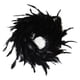 thumbnail image 1 of Plumas Artificiales Negras Con Colgador De Puerta De Corona Decorativa De Ojo Para Decoración De Halloween Methold HA041711-02, 1 of 6