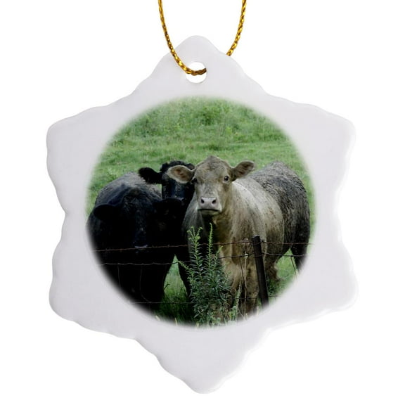 3drose, Cattle in a Pasture Photographed by Angelandspot, 3 inch Snowflake Porcelain Ornament