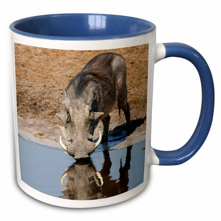 

3dRose Warthog Savuti channel Botswana Southern Africa.-AF05 POX0351 - Pete Oxford - Two Tone Blue Mug 11-ounce