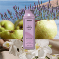 thumbnail image 4 of Scent Theory Body Lotion with Shea Butter, All Skin Types, Silk Sheets, 18 fl oz, 4 of 14