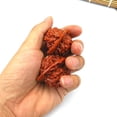 thumbnail image 4 of Clearance!Natural Chinese Wenwan Walnuts,Chinese Walnuts Fidget - 2026 New Wenwan Walnut（2 Set), 4 of 6
