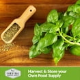 thumbnail image 6 of 5 packs Culinary Basil Seed Mix - Non-GMO Heirloom Herb - Full Sun Annual, 6 of 6