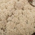 thumbnail image 3 of Vickerman H4RDM000 Mousse de Renne Naturelle en Vrac 8,8 Lb, 3 of 3