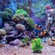 thumbnail image 4 of BRIGHTFUFU De De Peces Artificiales Para En Y Salada, 4 of 6