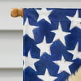 thumbnail image 3 of Carolines Treasures BB9682CHF Pomeranian Patriotic Flag Canvas House Size  Large multicolor, 3 of 4