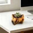 thumbnail image 3 of Outdor For Indoor Outdoor Decorative With Holes Garden Container, 3 of 3