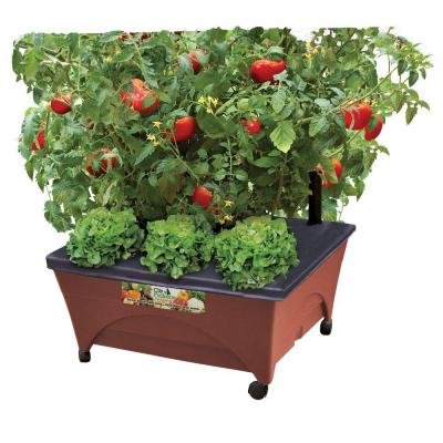 Patio Kits 24.5 In. X 20.5 In. Patio Raised Garden Bed Kit with Watering System and Casters in Terra Cotta..., By CITY PICKERS Ship from US ()