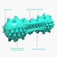 thumbnail image 3 of Amdohai Dog Toothbrush Chew Toy Squeaky Sound Durable Teeth Cleaning Pet Chewing Toy Molar Stick, 3 of 8