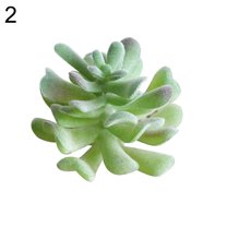 Succulent Plants , 1Pc Artificial Succulent Plant Bonsai Stage Garden Home Party Desktop Decoration Real Live Potted Succulents / Unique Indoor Cactus Decor by Plants for Pets