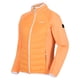 thumbnail image 4 of Regatta - Chaqueta Aislante Clumber II para Mujer (Papaya), 4 of 6