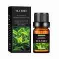 thumbnail image 1 of 20 Flavors Natural Essential Oils for Aroma Diffusers & Humidifiers, 10ml Water-Soluble Aromatherapy Fragrance Set for Home & Office Relaxation, 1 of 8