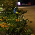 thumbnail image 4 of Adornos para jardín Sharpla Estatuilla de Luces de camino de paisaje con energía solar Luces de pavo real, 4 of 8