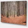 thumbnail image 2 of Feuilles dans la Forêt Épaisse d'Automne - Impression sur Toile Forêt, 2 of 4