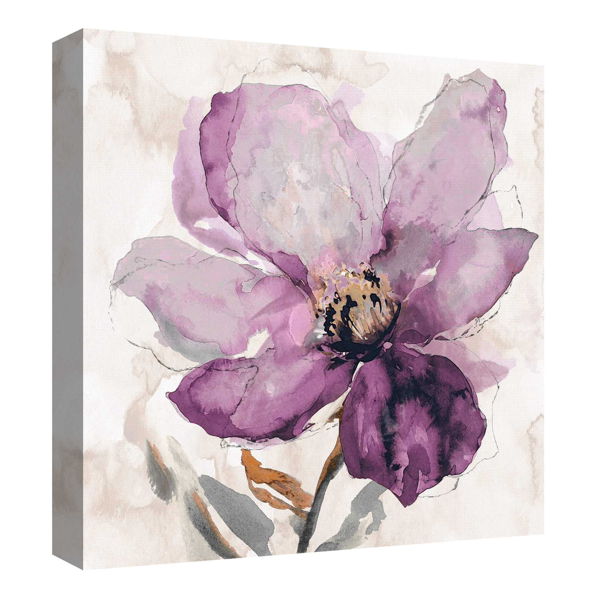 Floral Wash I & II by Tania Bello Set of Canvas Art Prints