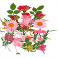 thumbnail image 1 of Muestras de plantas secas Macarena 25 piezas Flores secas prensadas naturales, 1 of 6