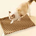 thumbnail image 6 of XGFHYJEH Dog Bed, Small Dog Beds, Medium Dog Beds, Dog Beds for Small Medium Size Dogs, Cat Bed, Pet Bed, Dog Crate Mat, 6 of 6