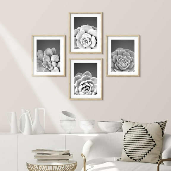 PixonSign Framed Wall Art Grayscale Southwest Succulent Cactus Posters, Set of 4 Floral Botanical Modern Art, Nature Minimalism Photography Canvas Prints for Home Decor - 11"x14" Natural